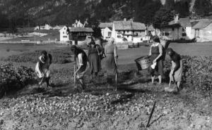 Donne che cavano patate a Fondovalle